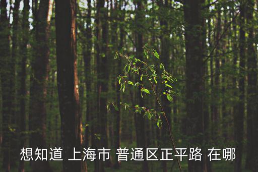 上海市鎮平路在哪里，鎮平路三號線 是在哪里的