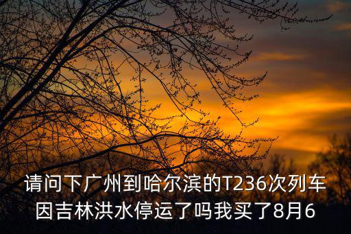 請問下廣州到哈爾濱的T236次列車因吉林洪水停運了嗎我買了8月6
