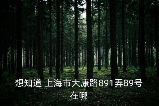 想知道 上海市大康路891弄89號在哪