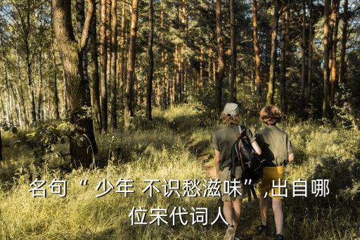 少年不識愁,少年不知愁滋味:出自宋代辛棄疾詩句