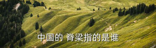 中國的 脊梁指的是誰