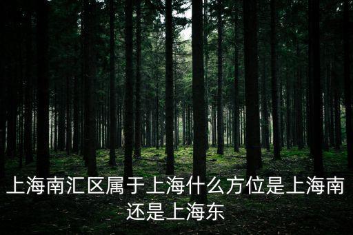 上海市南惠區，上海南匯區是在浦東還是浦西快