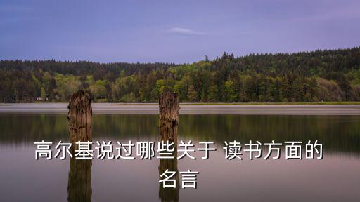 高爾基的名言關于讀書,高爾基與讀書名言1相關名人推介