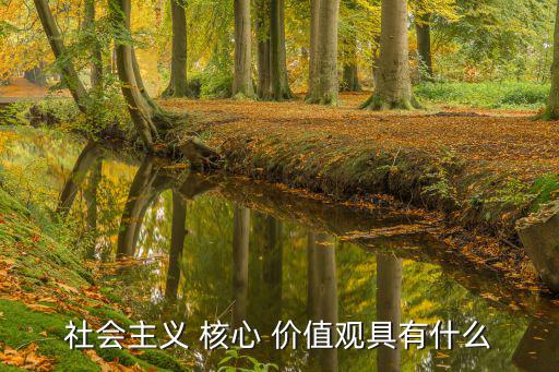 社會主義 核心 價值觀具有什么
