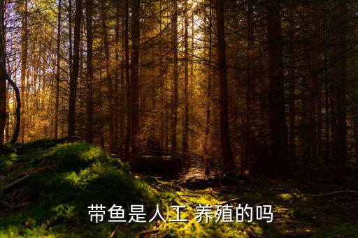 帶魚能養殖嗎,人工帶魚無法人工養殖主要是人工飼養繁殖問題