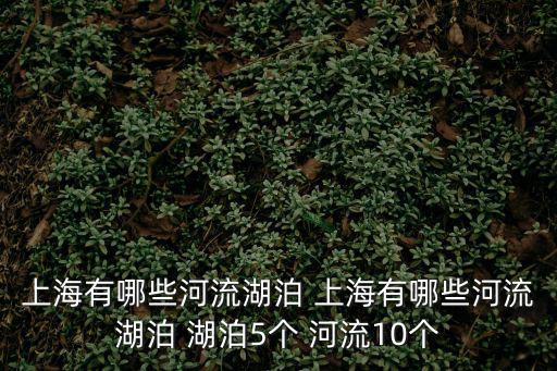 上海有哪些河流湖泊 上海有哪些河流湖泊 湖泊5個 河流10個