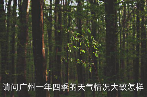 請問廣州一年四季的天氣情況大致怎樣