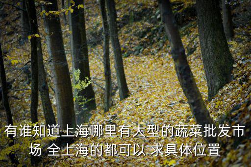 有誰知道上海哪里有大型的蔬菜批發市場 全上海的都可以 求具體位置