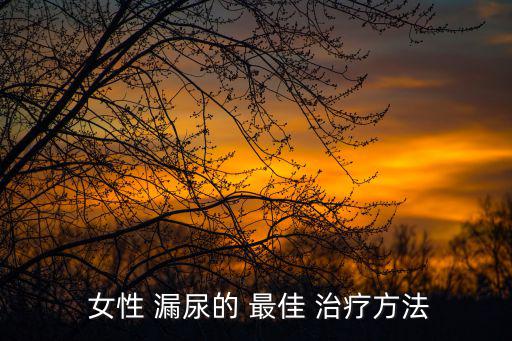  女性 漏尿的 最佳 治療方法