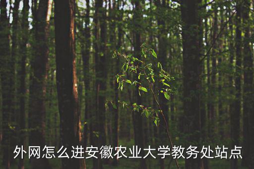  外網(wǎng)怎么進安徽農(nóng)業(yè)大學(xué)教務(wù)處站點