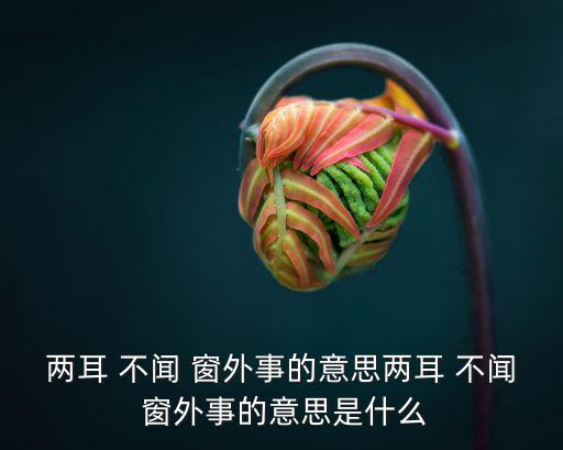 兩耳 不聞 窗外事的意思兩耳 不聞 窗外事的意思是什么