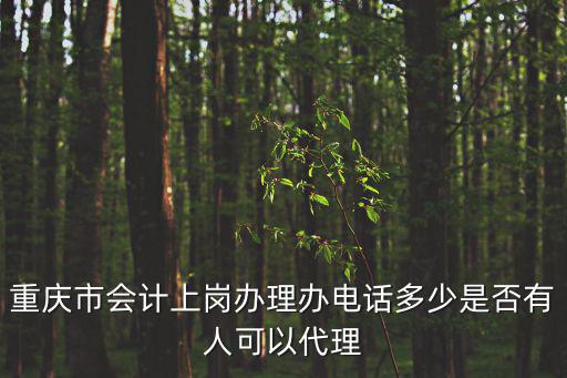 重慶市會(huì)計(jì)上崗辦理辦電話多少是否有人可以代理