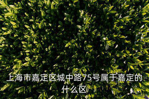 上海市嘉定區城中路75號屬于嘉定的什么區