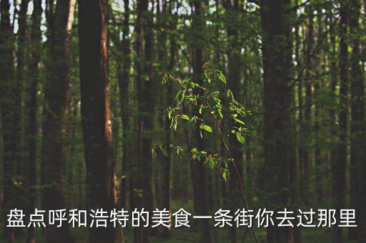 盤點(diǎn)呼和浩特的美食一條街你去過那里
