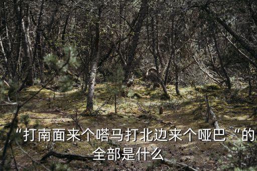 “打南面來個嗒馬打北邊來個啞巴“的全部是什么