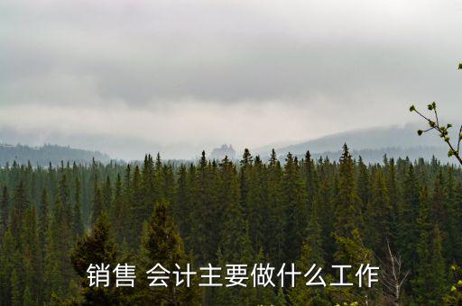 銷售會計工作內容,財務工作職責和內容一般為審計工作