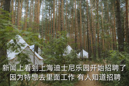 新聞上看到上海迪士尼樂園開始招聘了 因為特想去里面工作 有人知道招聘