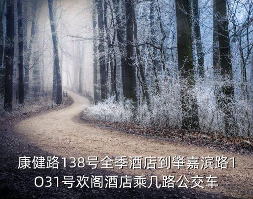 康健路138號全季酒店到肇嘉濱路1O31號歡閣酒店乘幾路公交車