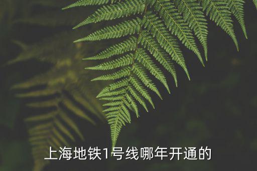 上海地鐵1號線哪年開通的