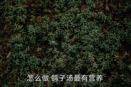 怎么做 鴿子湯最有營養
