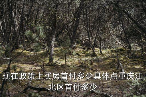重慶市江北區(qū)商業(yè)指導(dǎo)，重慶江北區(qū)觀音橋商圈具備什么商圈條件