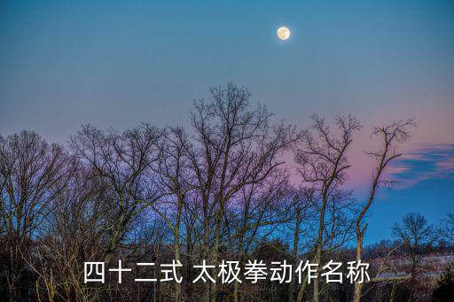 四十二式 太極拳動作名稱