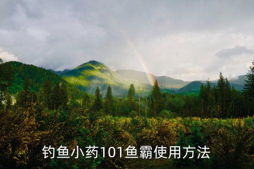 釣魚小藥101魚霸使用方法