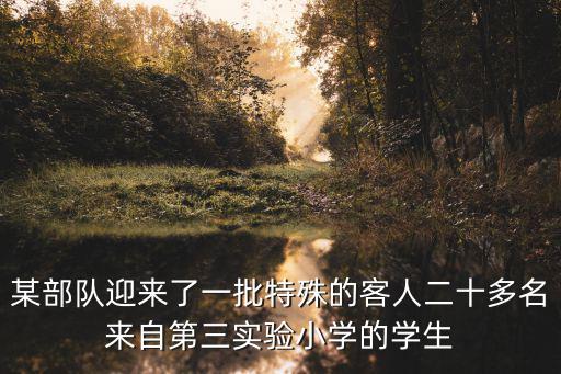 某部隊迎來了一批特殊的客人二十多名來自第三實驗小學的學生