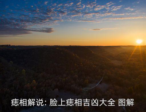 臉上的痣圖解,首相圖解（四）:看看這張報道