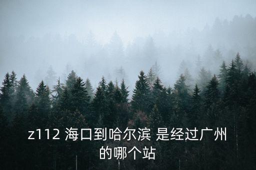 z112 海口到哈爾濱 是經(jīng)過廣州的哪個站