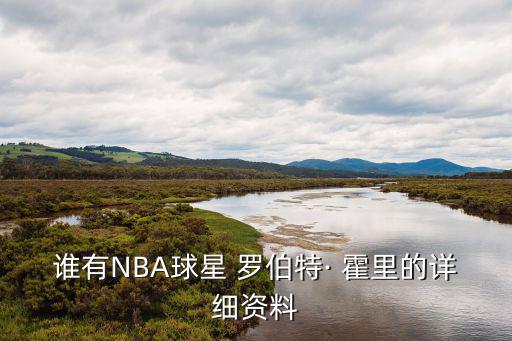 誰(shuí)有NBA球星 羅伯特· 霍里的詳細(xì)資料