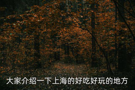 大家介紹一下上海的好吃好玩的地方