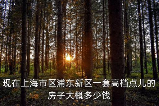 現(xiàn)在上海市區(qū)浦東新區(qū)一套高檔點兒的房子大概多少錢