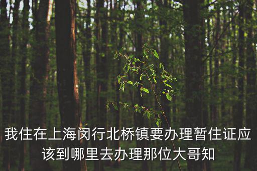 我住在上海閔行北橋鎮(zhèn)要辦理暫住證應(yīng)該到哪里去辦理那位大哥知