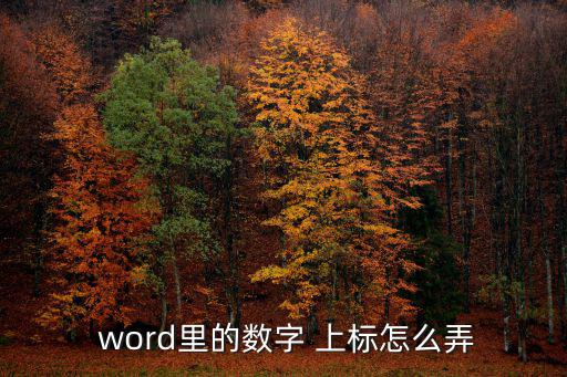 word上標怎么打,括號外輸入上標已經實現