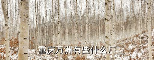 重慶萬洲有些什么廠