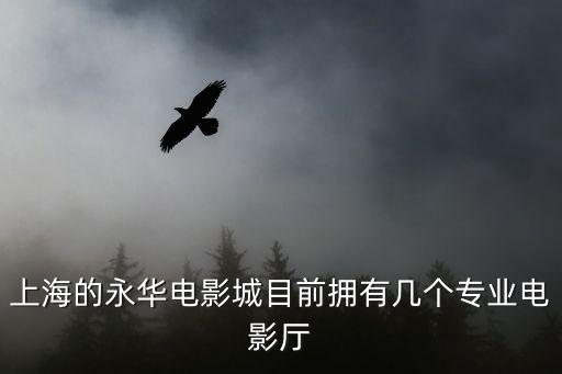 上海的永華電影城目前擁有幾個專業電影廳