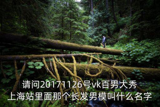 請問20171126號vk百男大秀上海站里面那個長發男模叫什么名字