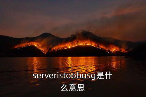 serveristoobusg是什么意思