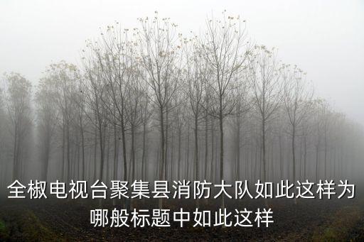 重慶市奉節縣消防隊牟來斌，全椒電視臺聚集縣消防大隊如此這樣為哪般標題中如此這樣