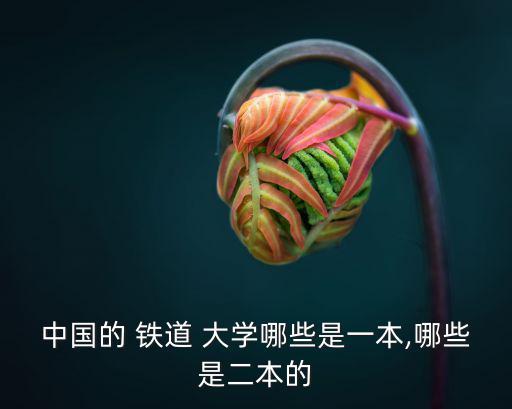 中國的 鐵道 大學哪些是一本,哪些是二本的