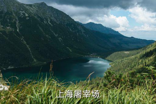 上海屠宰場