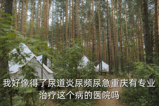 我好像得了尿道炎尿頻尿急重慶有專業治療這個病的醫院嗎