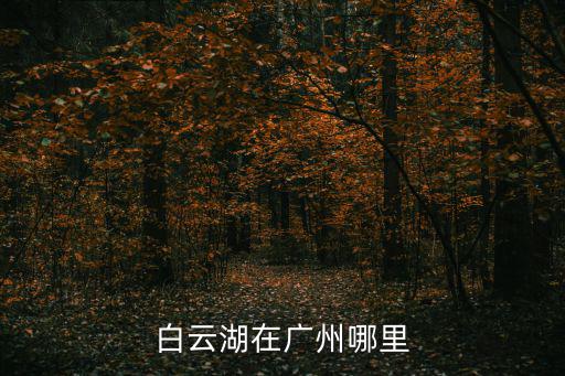 白云湖在廣州哪里