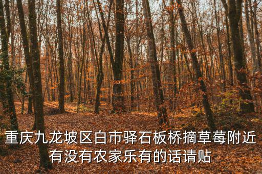 重慶九龍坡區(qū)白市驛石板橋摘草莓附近有沒有農(nóng)家樂有的話請貼