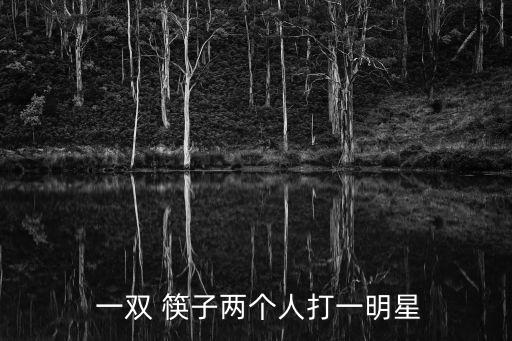  一雙 筷子兩個人打一明星