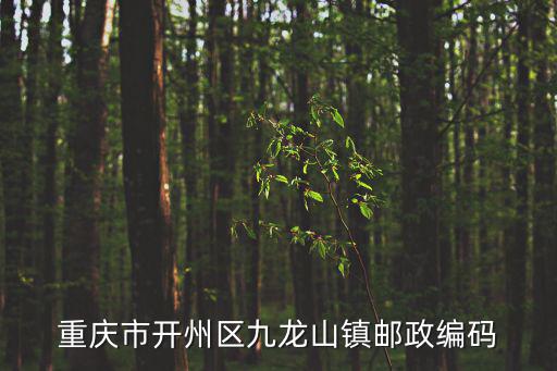 重慶市開州區九龍山鎮郵政編碼