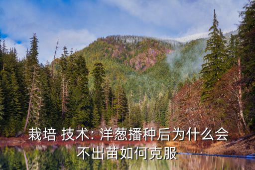  栽培 技術: 洋蔥播種后為什么會不出苗如何克服