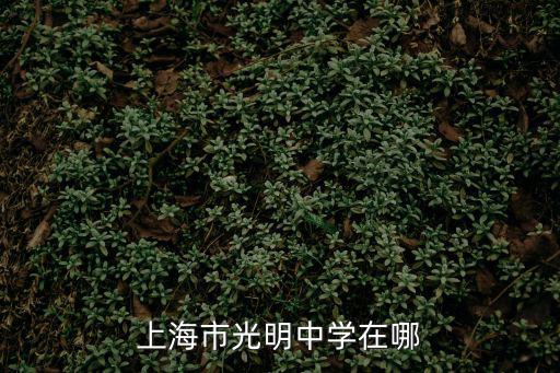 上海市光明中學(xué)在哪