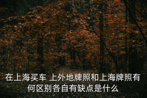 在上海買車 上外地牌照和上海牌照有何區別各自有缺點是什么